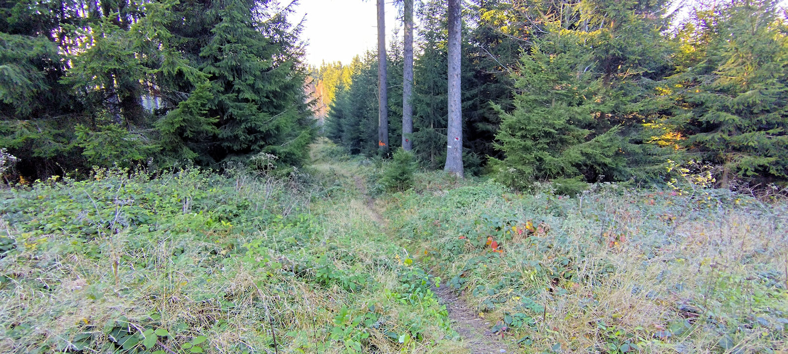 Wanderweg