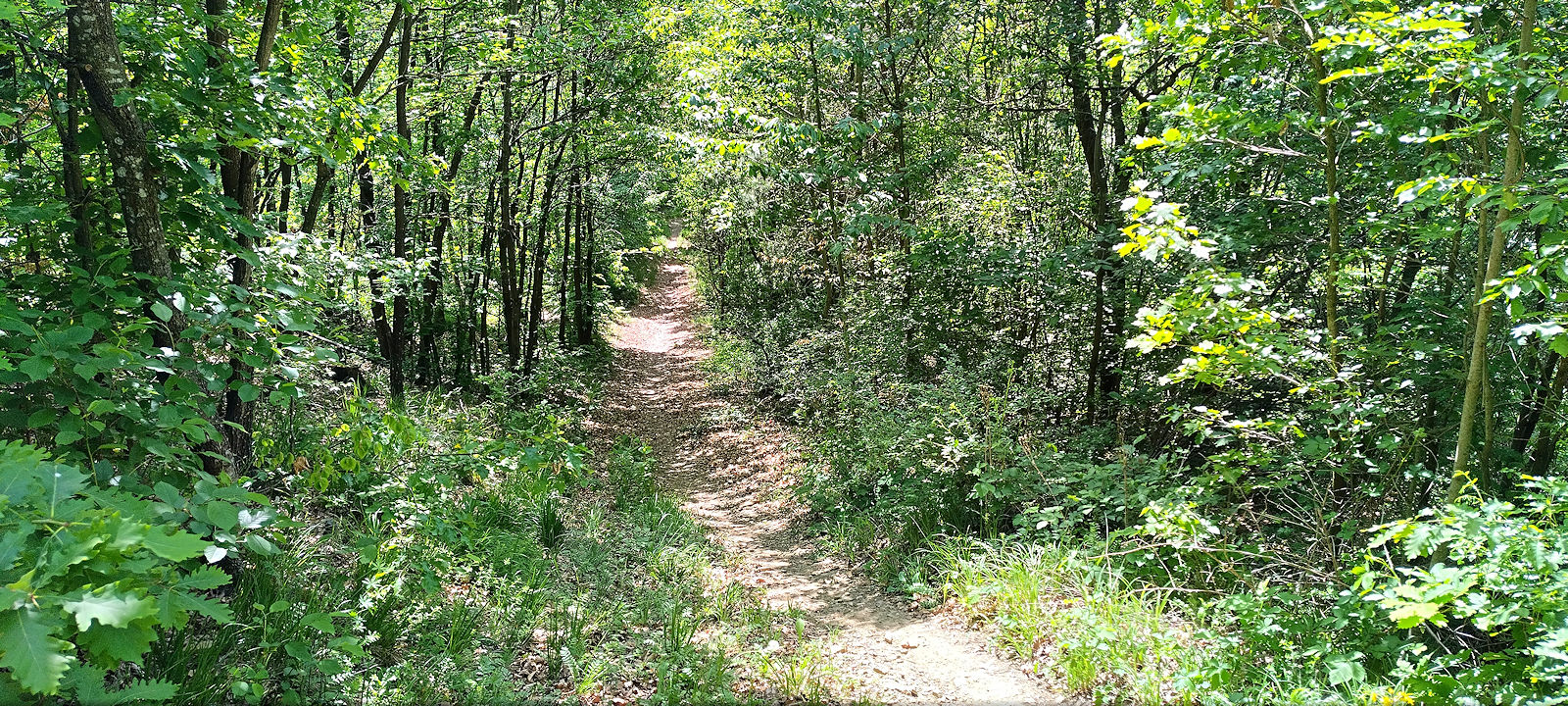 Wanderweg