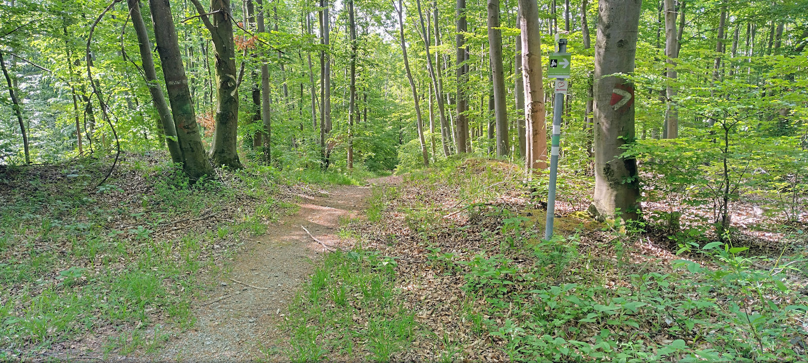 Wanderweg