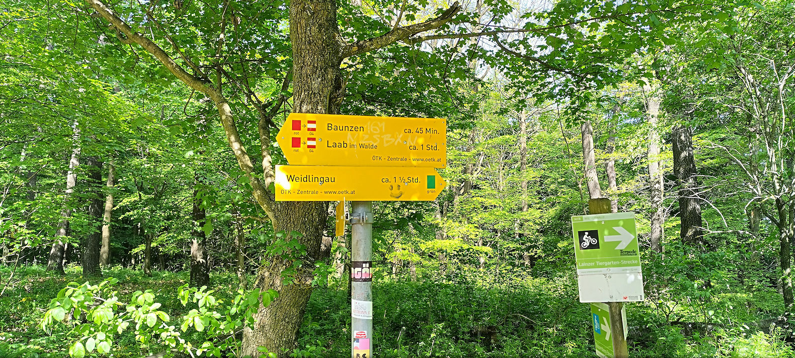 Forstweg