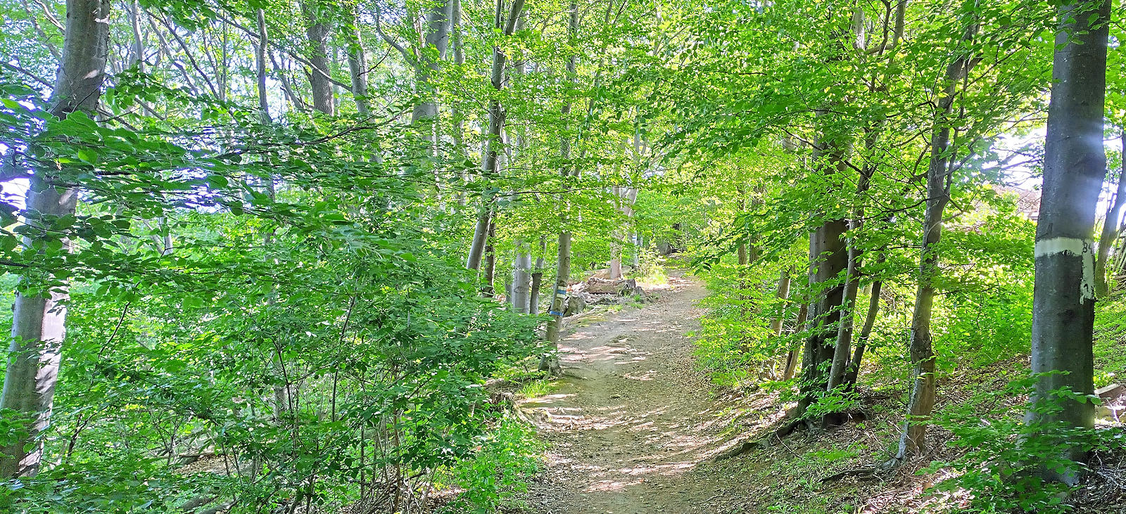 Wanderweg