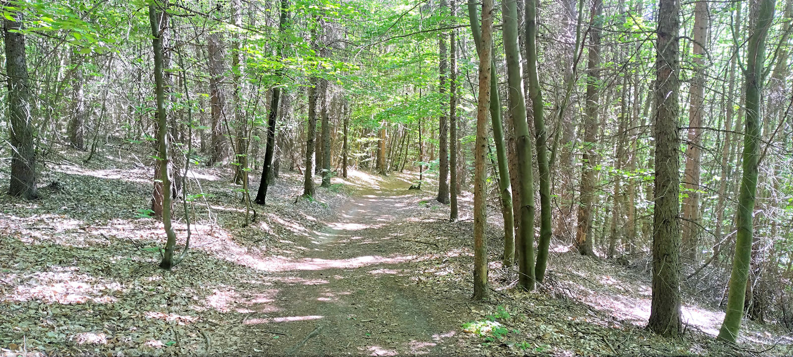 Wanderweg