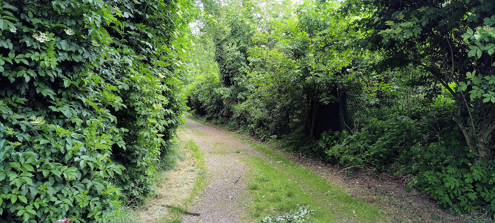 Wanderweg
