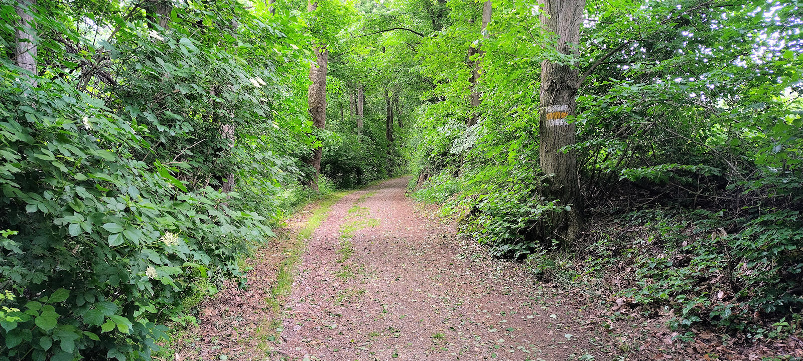 Wanderweg