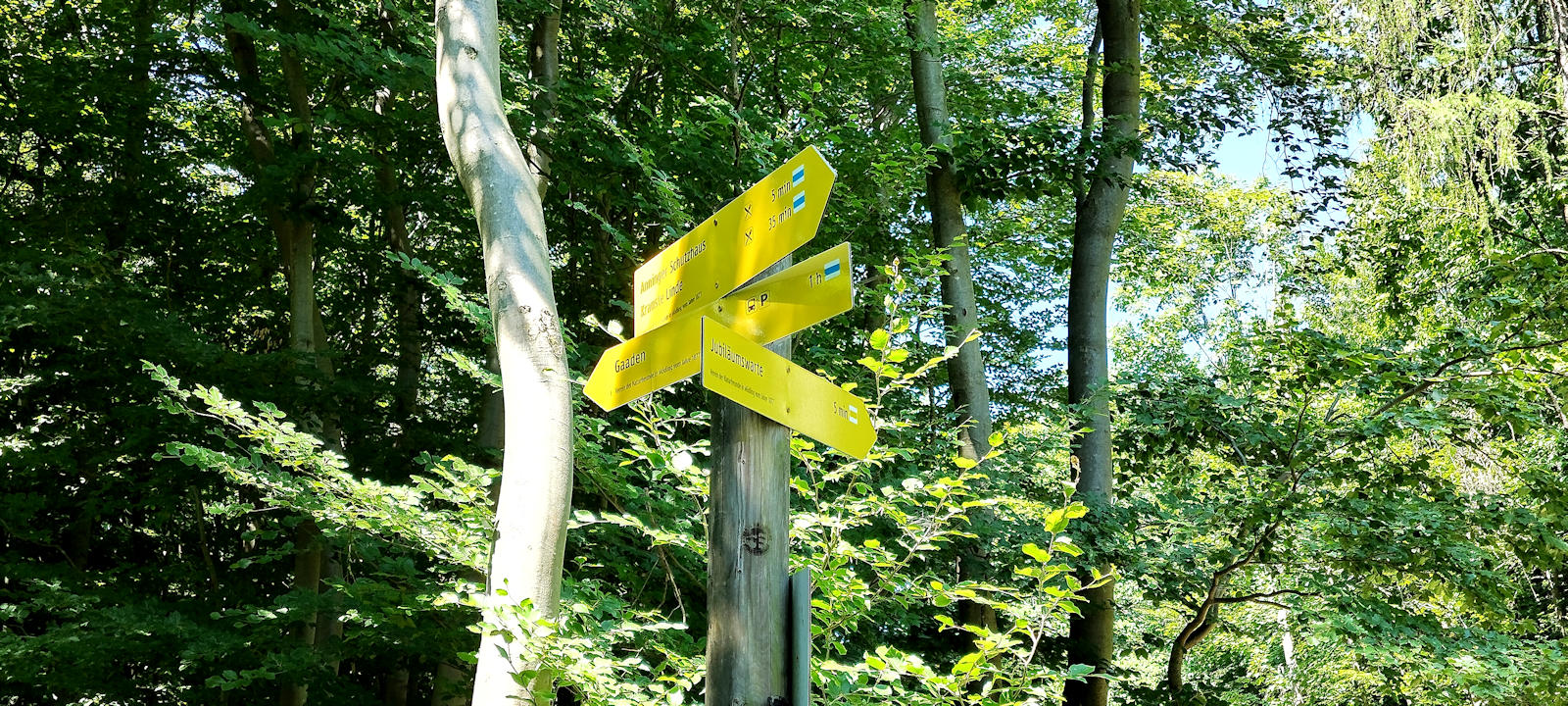 Wegweiser