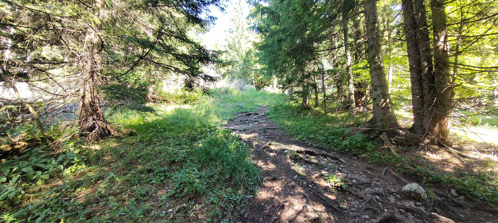 Weg