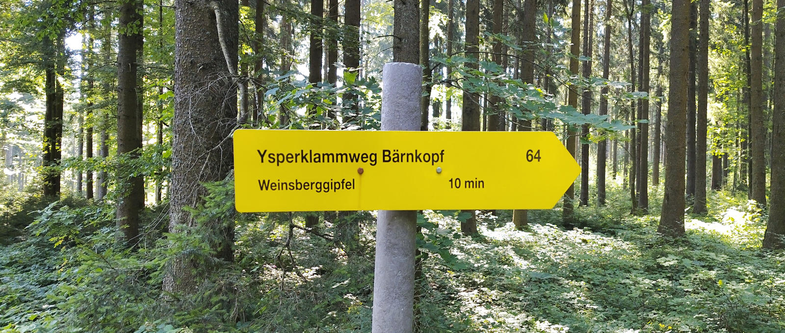 Wegweiser
