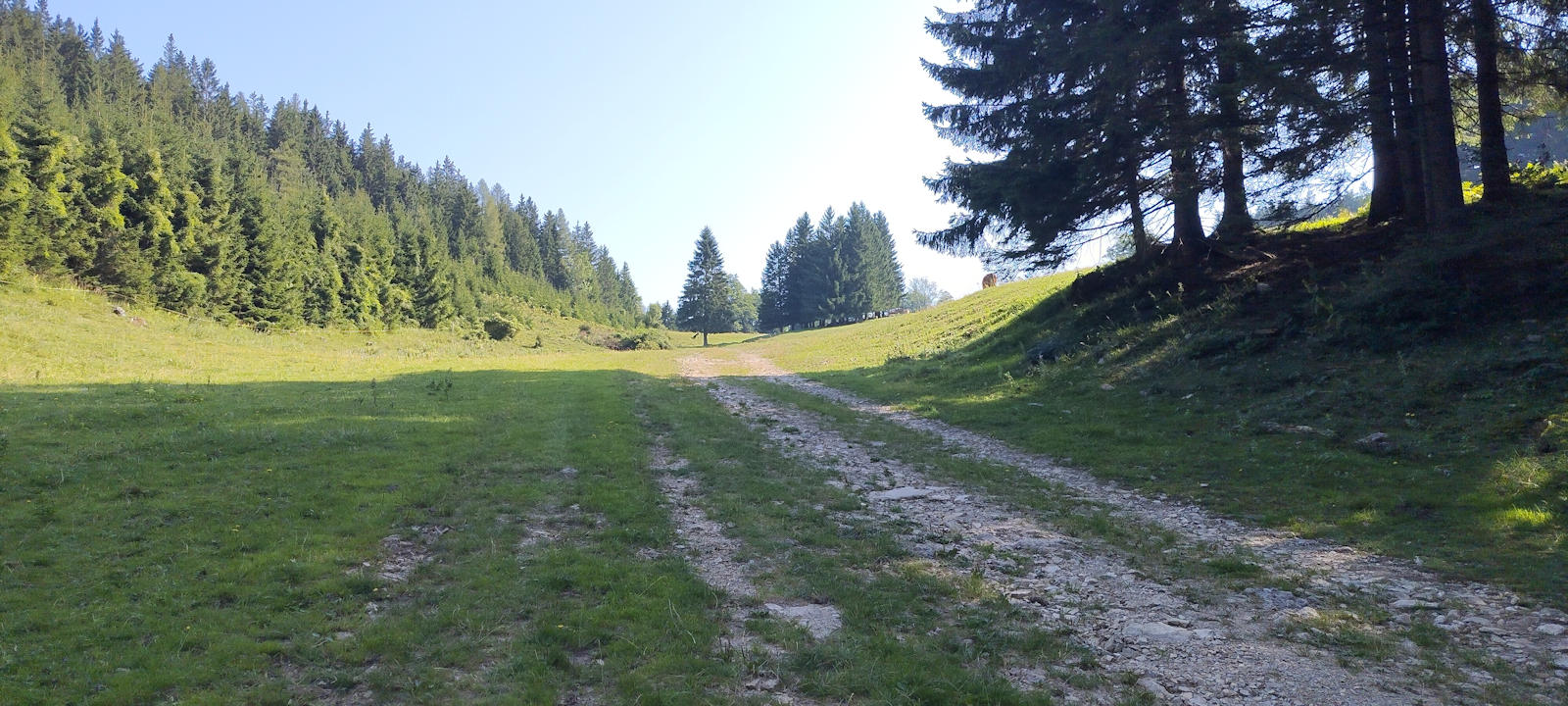 Weg