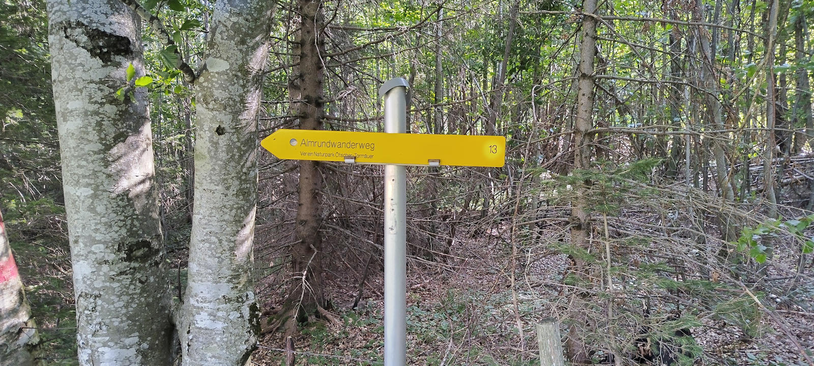 Wegweiser