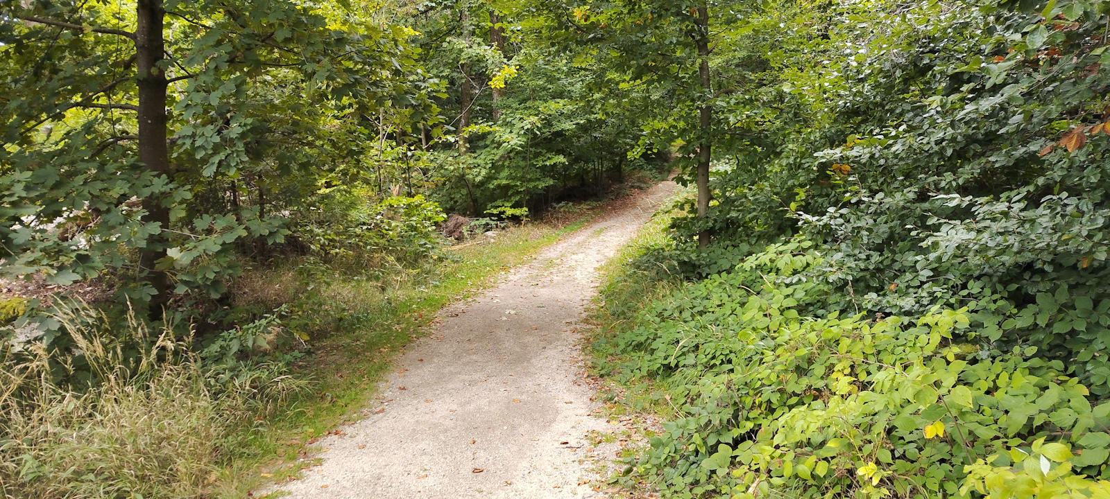 Weg