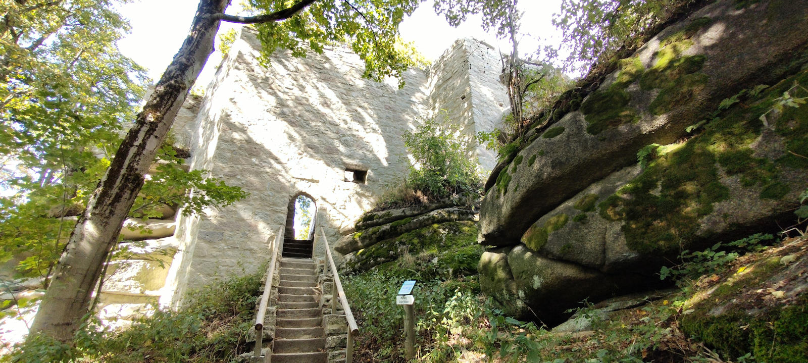 Burg