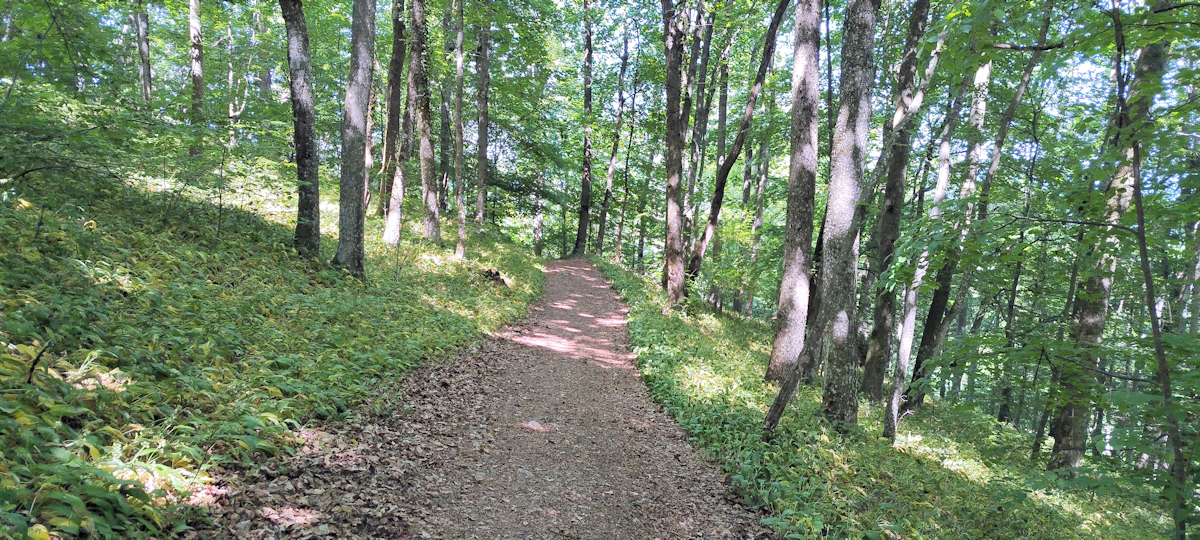 Weg