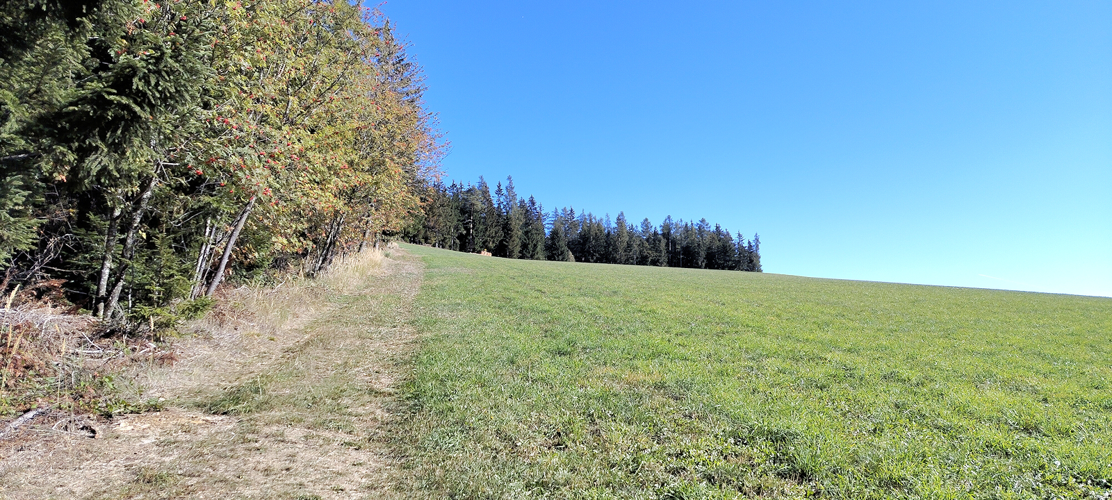 Weg